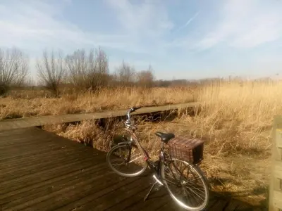 a bike is parked on a wooden boardwalk at B&B De Stuifduinen in Wetteren