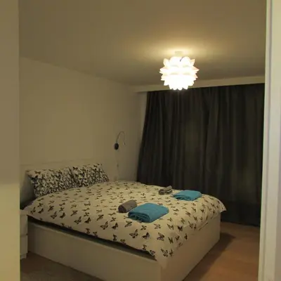 a bedroom with a bed and a chandelier at Huidreal Meir in Antwerp