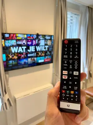 a person holding a remote control in front of a tv at Beaux ARTS in Antwerp