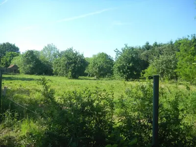 a field of grass with a fence and trees at Verreveld in Londerzeel