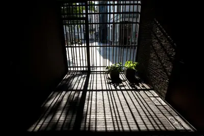 a room with a gate with two plants on it at Antwerp For Two B&B in Antwerp