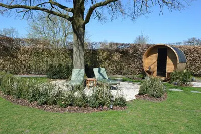 a tree and a chair sitting next to a tree at B&B Gielse Garden in Gierle