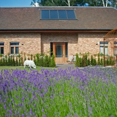 B&B Gielse Garden