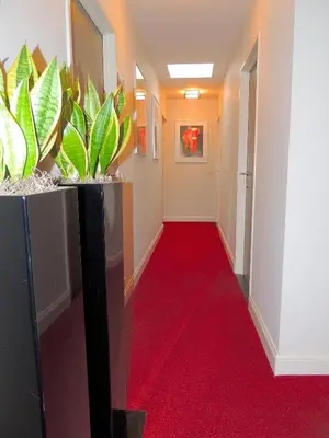 a hallway with a red carpet and plants at Hotel Mieke Pap in Poppel