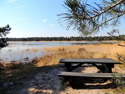 a picnic table sitting in front of a lake at Hotel Mieke Pap in Poppel