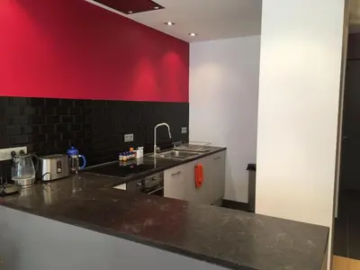 a kitchen with a sink and a red wall at Gachard in Brussels