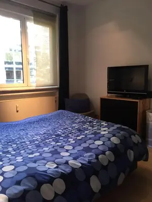 a bedroom with a bed and a tv and a window at Gachard in Brussels