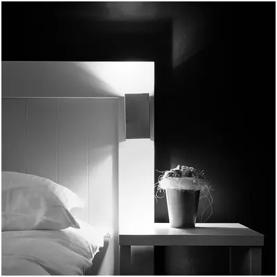 a plant sitting on a table next to a bed at Hotel Florent in Lier