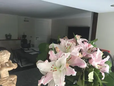 a vase filled with pink flowers in a living room at Studio swimming pool BXL in Dilbeek