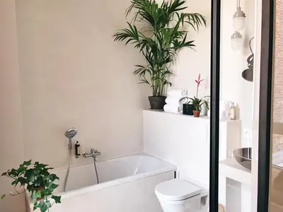 a bathroom with a tub and a toilet and plants at Latroupe Hotel Jardin Secret in Brussels