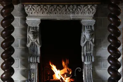 an ornate fireplace with a fire in it at Trumpet House in Leuven