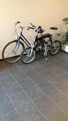 two bikes parked next to each other on a tile floor at jutta in Mechelen