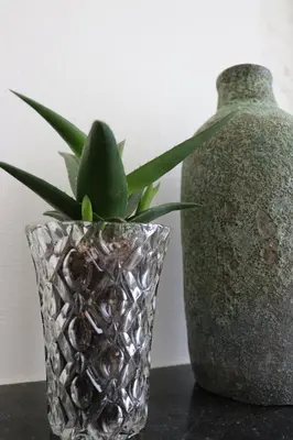 a pineapple vase and a vase with a plant in it at Mañana Mañana in Antwerp