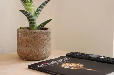 a book and a plant in a pot next to a remote control at Mañana Mañana in Antwerp