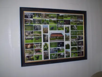a collage of photos on a wall at Vakantieverblijf-Beestenboel in Retie