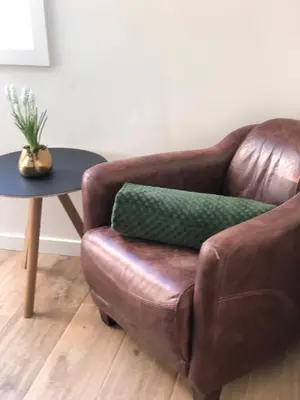 a brown leather chair with a green pillow next to a table at Hof Van Volmersele - Luxury B&B in Kampenhout