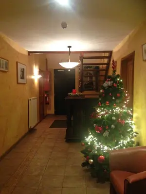 a christmas tree in the hallway of a room at Hotel In Den Hoek in Tielt