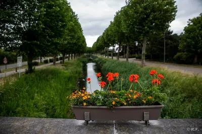 a pot of flowers sitting on a ledge at de minnetuin in Wachtebeke