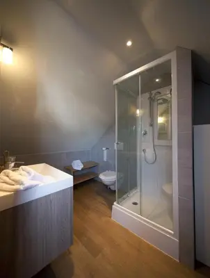 a bathroom with a shower and a sink and a toilet at Sino in Dendermonde