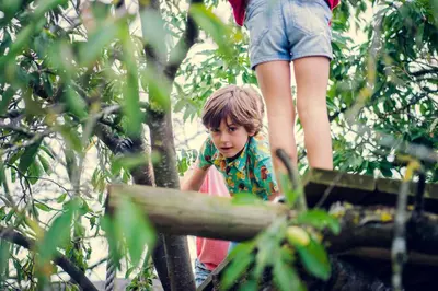 a young boy and a woman playing in a tree at De Schaapskooi in Kasterlee