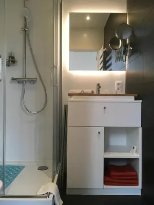 a bathroom with a white sink and a shower at B&B Wannes Suite in Leuven