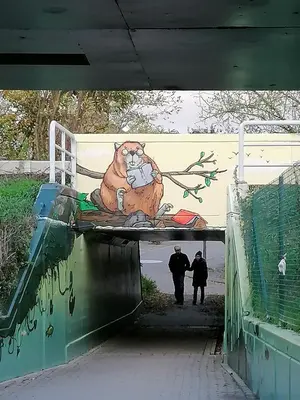 a painting of a cat on the side of a tunnel at Studio's Park - Heverlee in Leuven