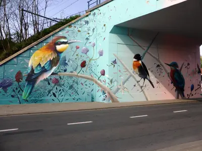 a mural of birds on the side of a building at Studio's Park - Heverlee in Leuven