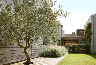 a tree in a yard next to a building at midiSud Apartment in Ghent