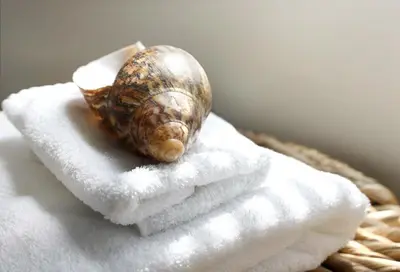 a snail sitting on top of a pile of towels at midiSud Apartment in Ghent