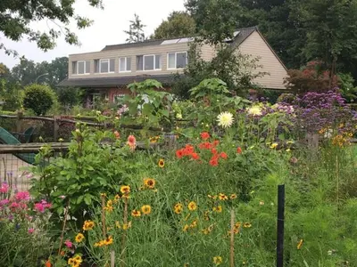 a garden with flowers in front of a house at LOGIES Tuin der Zinnen in Rijkevorsel