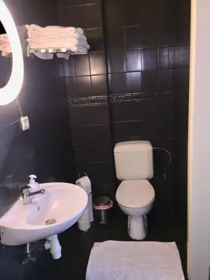 a bathroom with a white toilet and a sink at Albert gare du Midi , 29 in Brussels