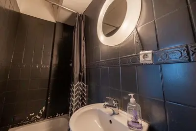 a bathroom with a sink and a mirror and a shower at Albert gare du Midi , 29 in Brussels