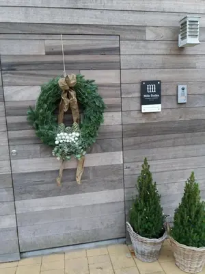 a christmas wreath on a wall with two plants at Mille Étoiles in Moorsel
