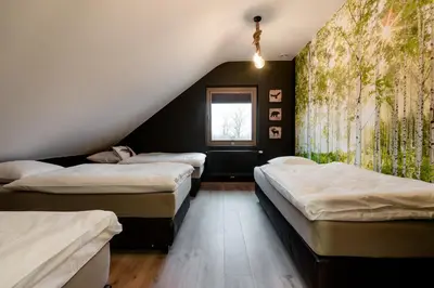 a room with three beds and a window at Casa Lavanda in Zottegem