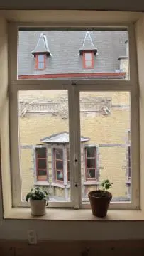 a window with three potted plants in front of a house at Huize Maeterlinck in Ghent