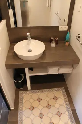 a bathroom with a sink and a mirror and a rug at Logies Tommenmolen in Grimbergen