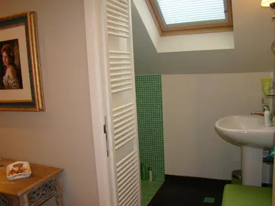 a bathroom with a sink and a shower at B&B Sogni d'oro in Lovendegem