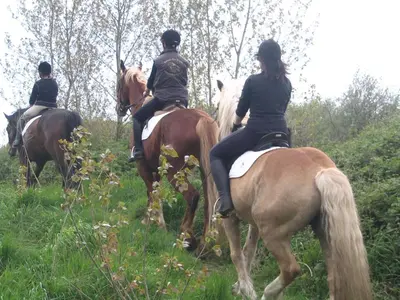 a group of people riding horses in a field at B&B Sogni d'oro in Lovendegem
