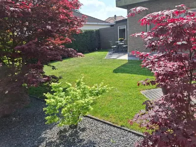 a garden with a bush with pink flowers on it at B&B Sogni d'oro in Lovendegem