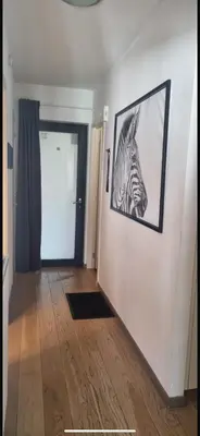 a hallway with a picture of a zebra on the wall at BnB Antwerp Centrum in Antwerp