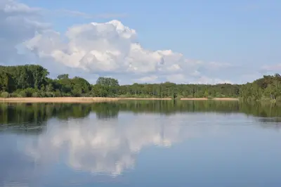 a large body of water with trees in the background at B&B Bon-Bon 'nuit' in Turnhout