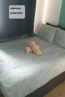 a towel animal laying on top of a bed at Private Studio Brussels Airport in Brussels