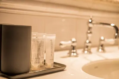 a bathroom sink with toothbrushes on a tray next to a sink at B&B Sterckxhof in Meise