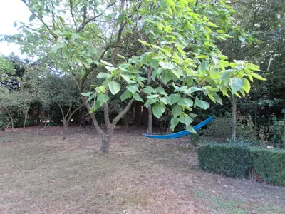 a blue hammock under a tree in a garden at De Spreekkamer in Hoogstraten