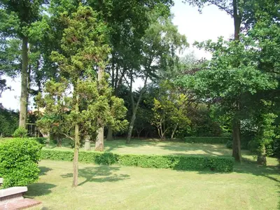 a park with a bench and trees and grass at De Spreekkamer in Hoogstraten