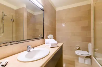 a bathroom with a sink and a toilet and a mirror at Hotel Opera Antwerpen Centrum in Antwerp