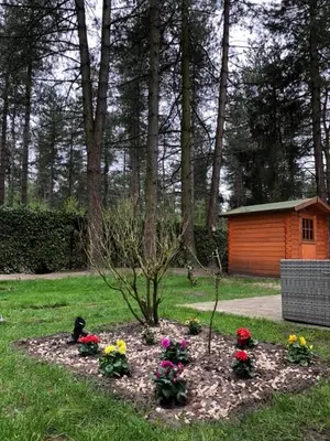 a garden with flowers and a tree in the grass at Luxe vakantiehuis in het bos in Overbroek