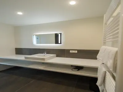 a bathroom with a sink and a mirror at Lovely holiday home 'Walleken' with a pond in Eekhout