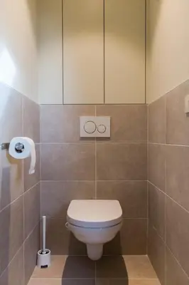 a bathroom with a toilet with a cabinet above it at Clayshoeve in Munte