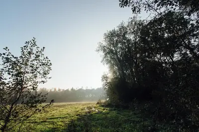 a field with trees on the side of it at Clayshoeve in Munte